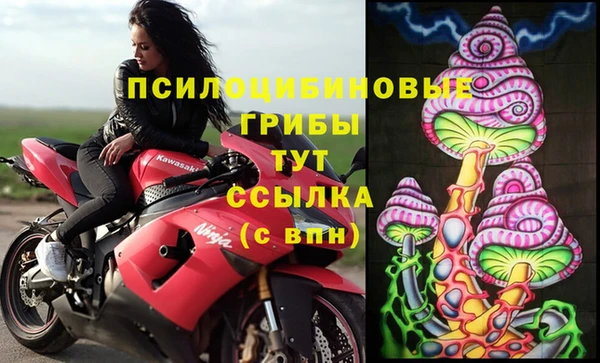 ECSTASY Алексин